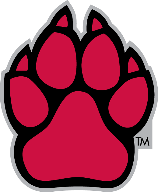 South Dakota Coyotes 2004-2011 Alternate Logo iron on transfers for fabric